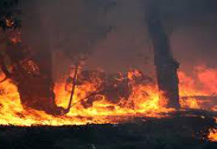Luas Kebakaran Hutan dan Lahan Menurun 71,5% di 2017